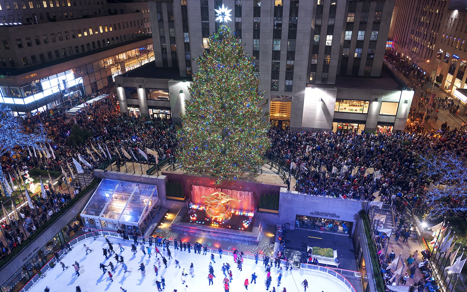 Rockefeller Center Christmas Tree